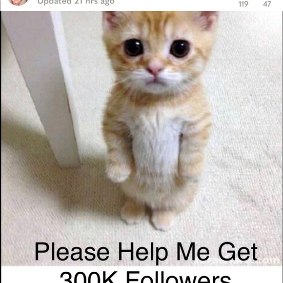 Talbots Black Suede Flats With bow Embellishments - Picture 14 of 14